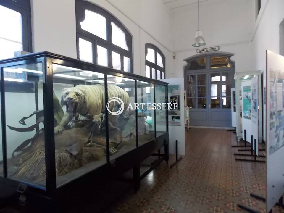 Museo de Historia Natural «Dr. Torres de la llosa»