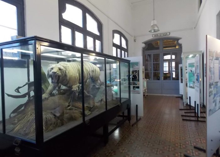 Museo de Historia Natural «Dr. Torres de la llosa»