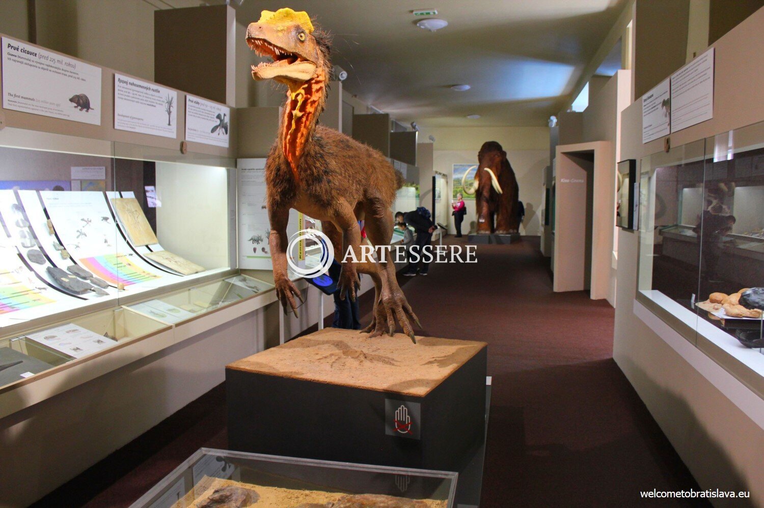 Natural History Museum Bratislava