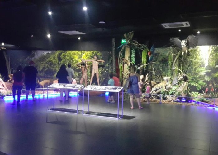 Museo de la Tierra Guarani