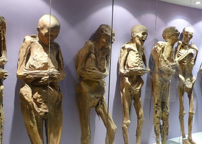 Museum of the Mummies of Guanajuato