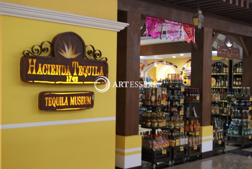 tequila museum cancun