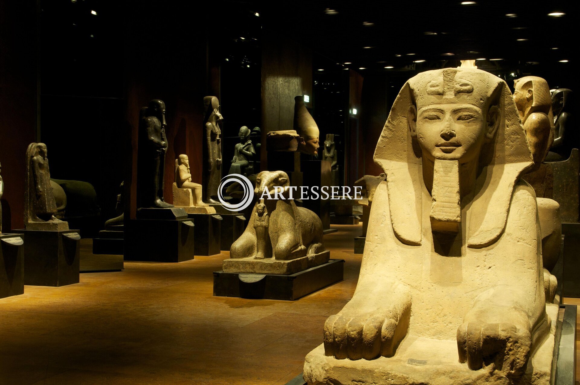 The Egyptian Museum in Turin