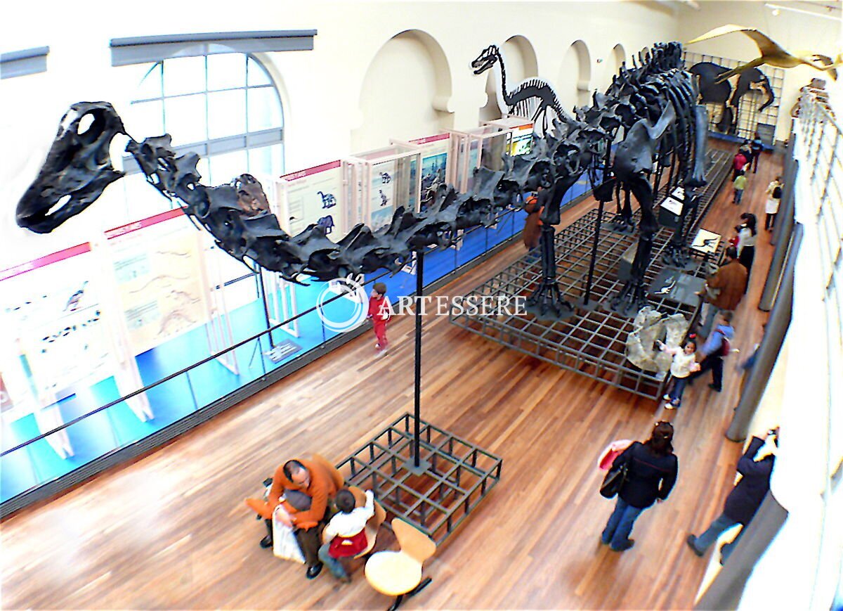 National Museum of Natural Sciences in Madrid