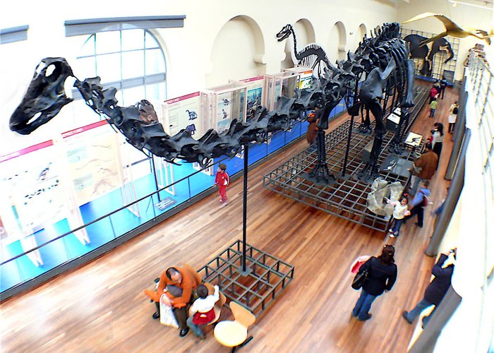 National Museum of Natural Sciences in Madrid