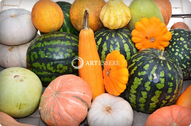 The Water-melon Museum