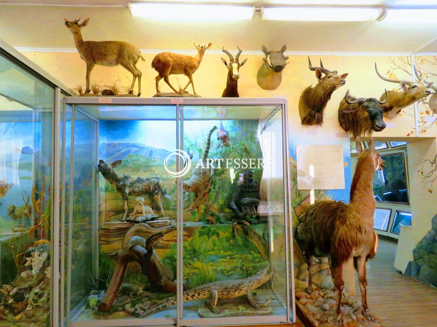 The Museum «Archeology, Ethnography and Ecology of Siberia»