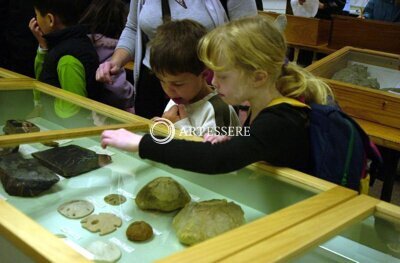 Geological Collections, The University of Auckland