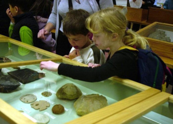 Geological Collections, The University of Auckland