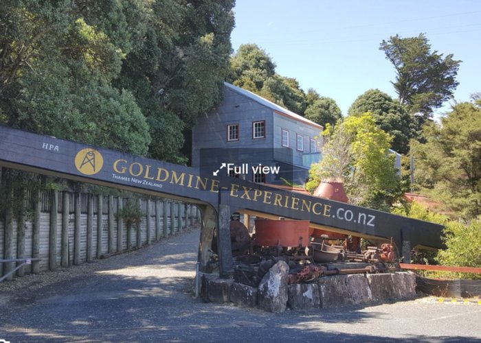 Thames Goldmine Experience